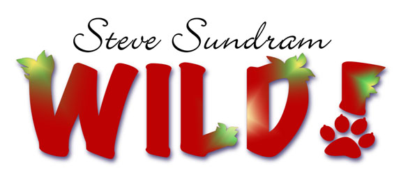 Steve Sundram Wild!